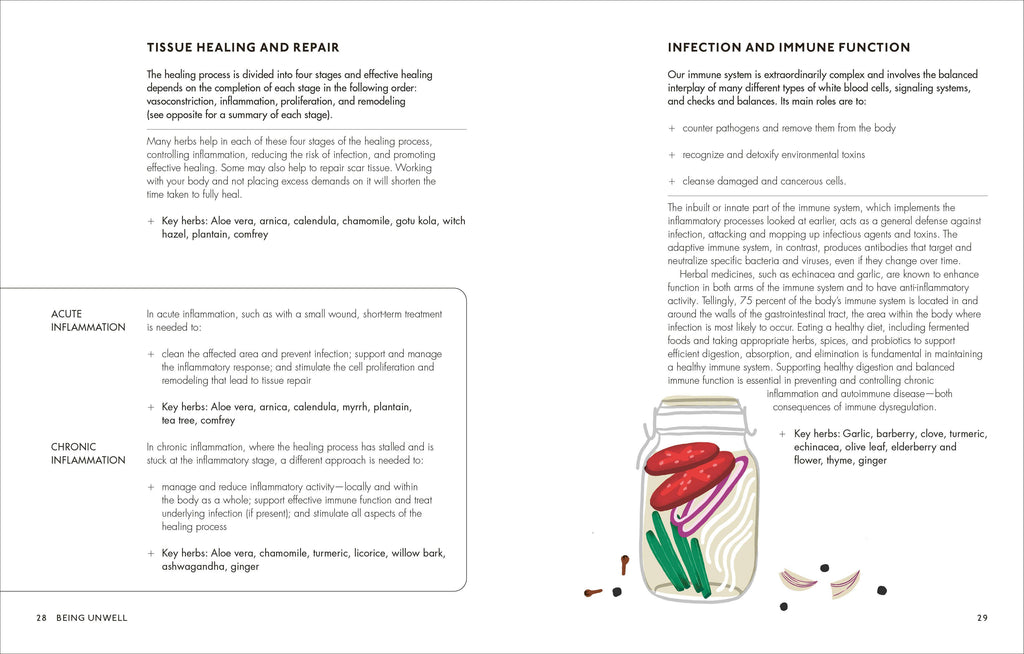 The Home Herbal