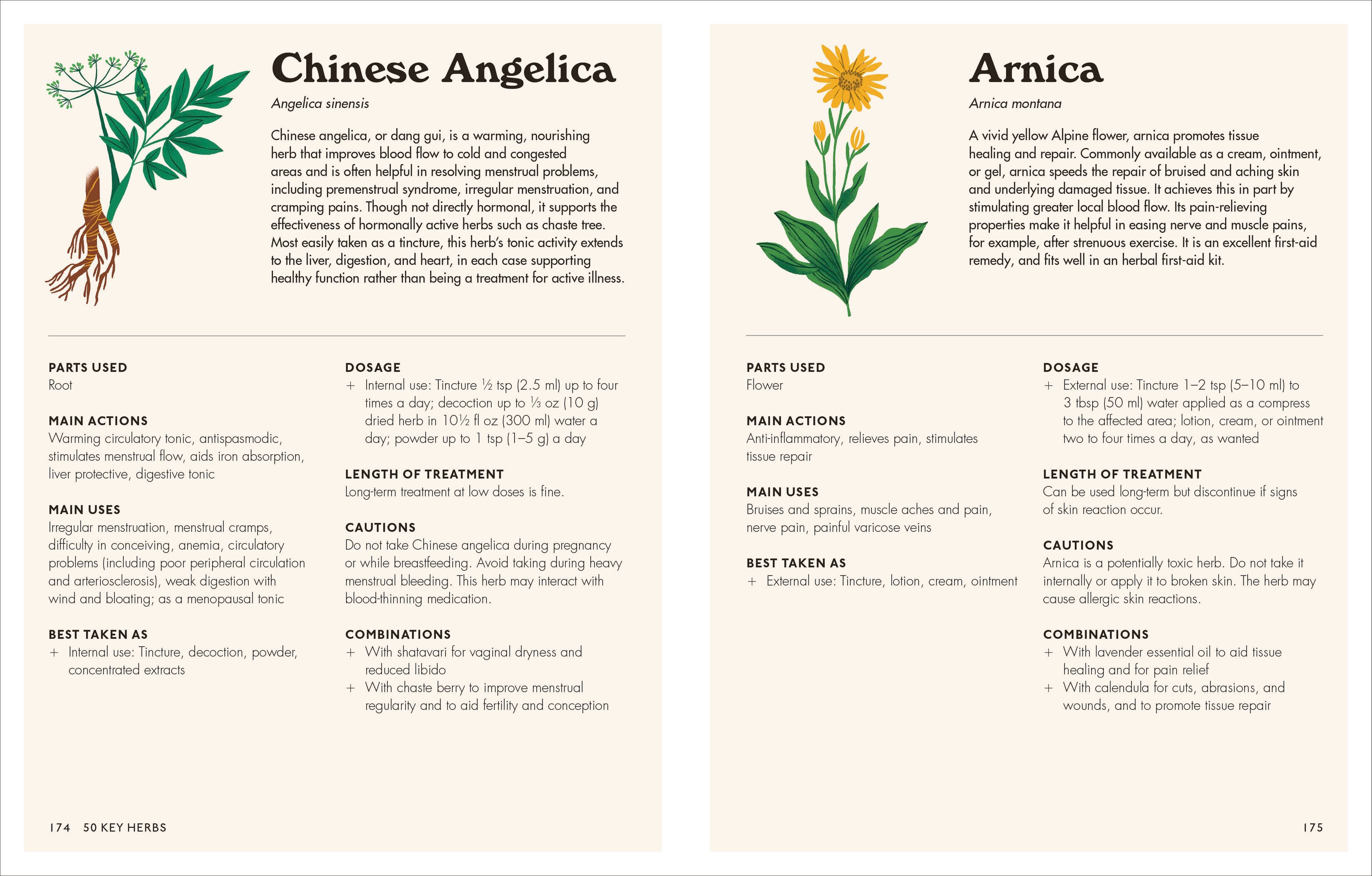 The Home Herbal