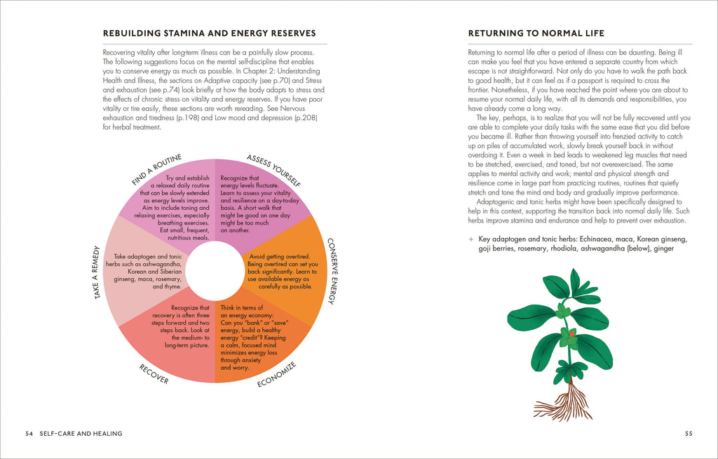 The Home Herbal